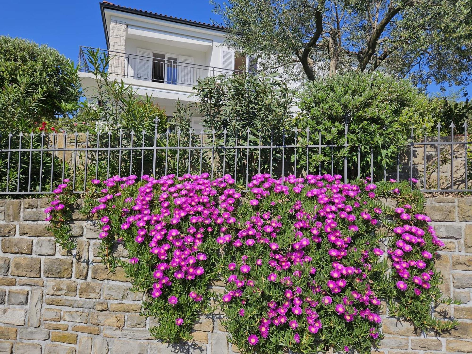 Apartment Solare Portorož Exterior foto